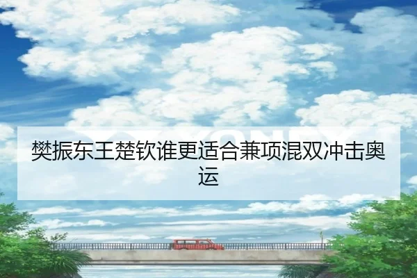 樊振东王楚钦谁更适合兼项混双冲击奥运
